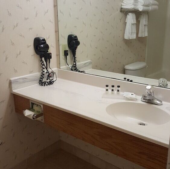 جناح مزود بجاكوزى, Country Inn & Suites By Radisson, Cedar Falls, Ia