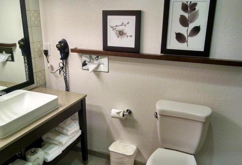 استودیو استاندارد با تخت کینگ, Country Inn & Suites By Radisson, Chippewa Falls, Wi