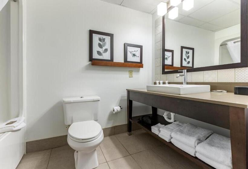 اتاق استاندارد با تخت بزرگ, Country Inn & Suites By Radisson, Lumberton, Nc
