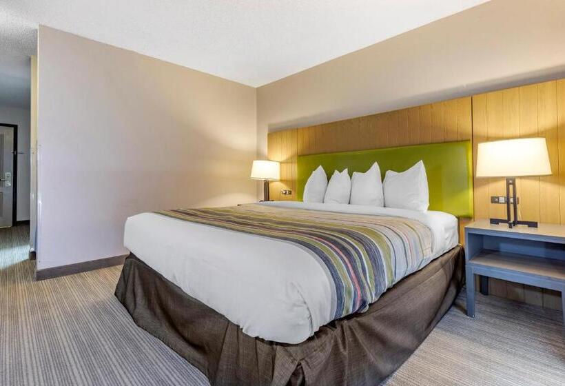 اتاق استاندارد با تخت بزرگ برای معلولان, Country Inn & Suites By Radisson, Lumberton, Nc