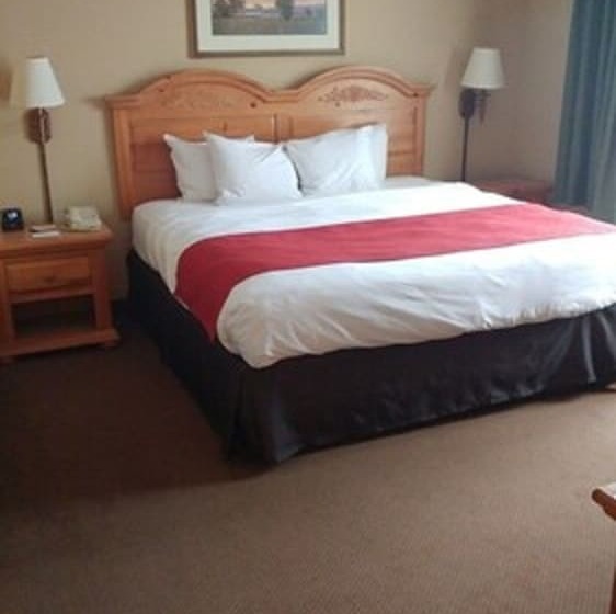 장애인을 위한 스위트, Country Inn & Suites By Radisson, Waterloo, Ia