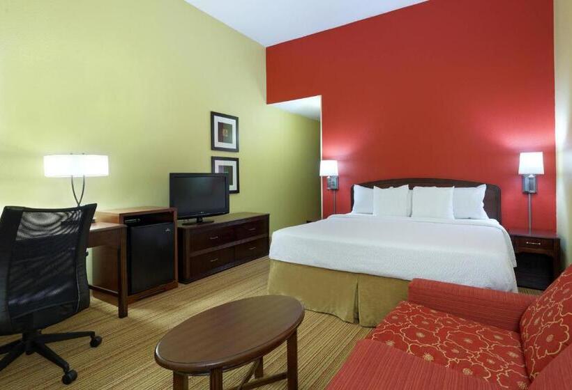 اتاق استاندارد با تخت بزرگ, Courtyard Chesapeake Greenbrier