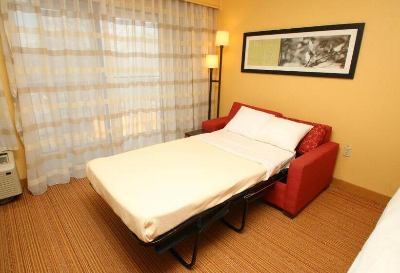 اتاق دلوکس مخصوص معلولین, Courtyard Chesapeake Greenbrier
