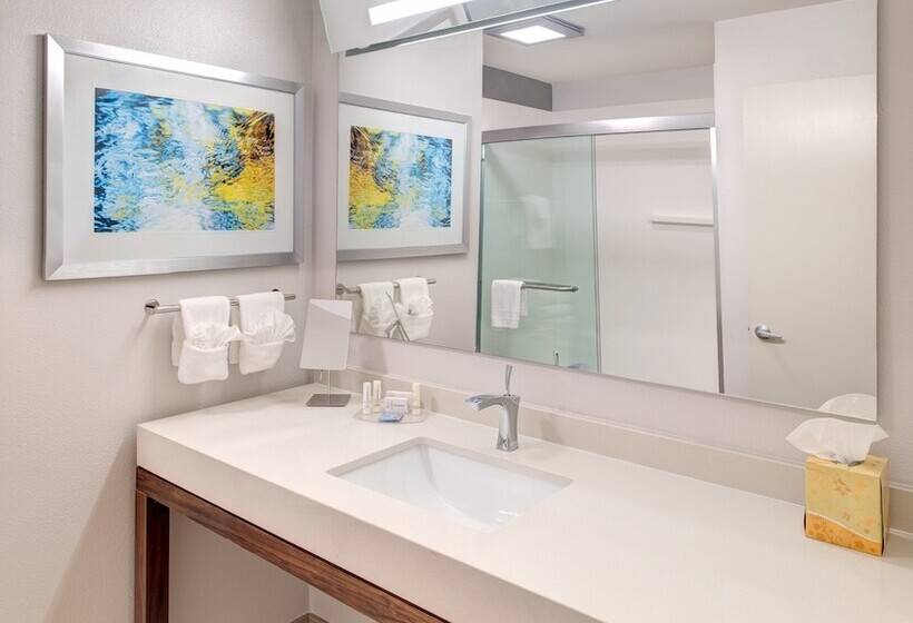 اتاق استاندارد با تخت دوبل, Courtyard By Marriott Columbia Northeast/fort Jackson Area