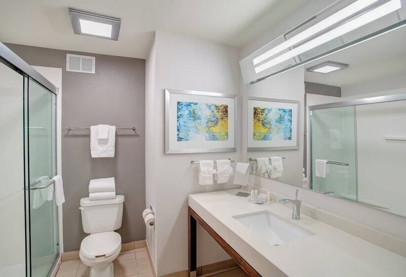 اتاق استاندارد با تخت دوبل, Courtyard By Marriott Columbia Northeast/fort Jackson Area