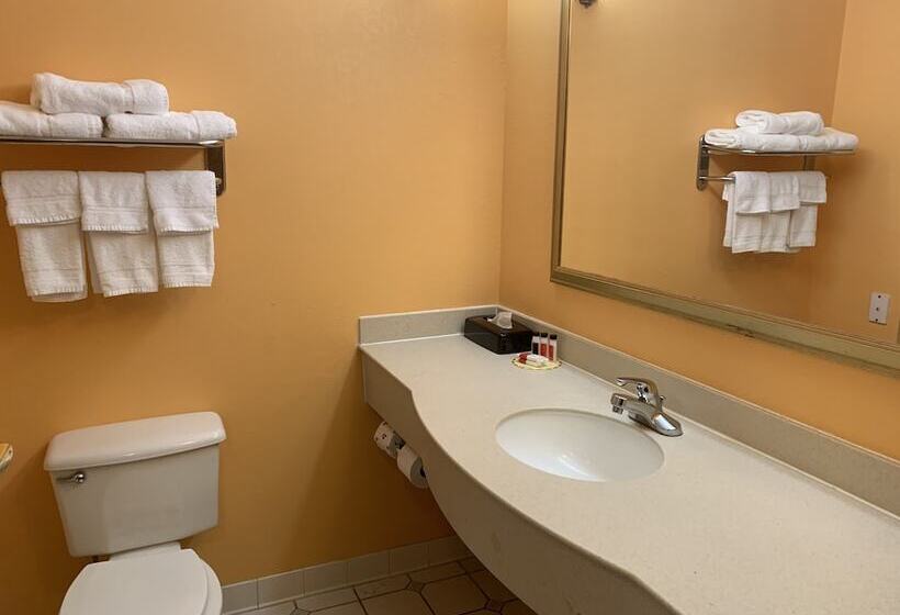سوییت, Days Inn & Suites By Wyndham Albany