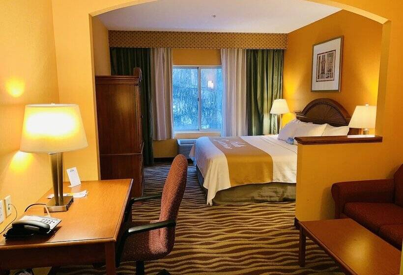 سوییت, Days Inn & Suites By Wyndham Albany