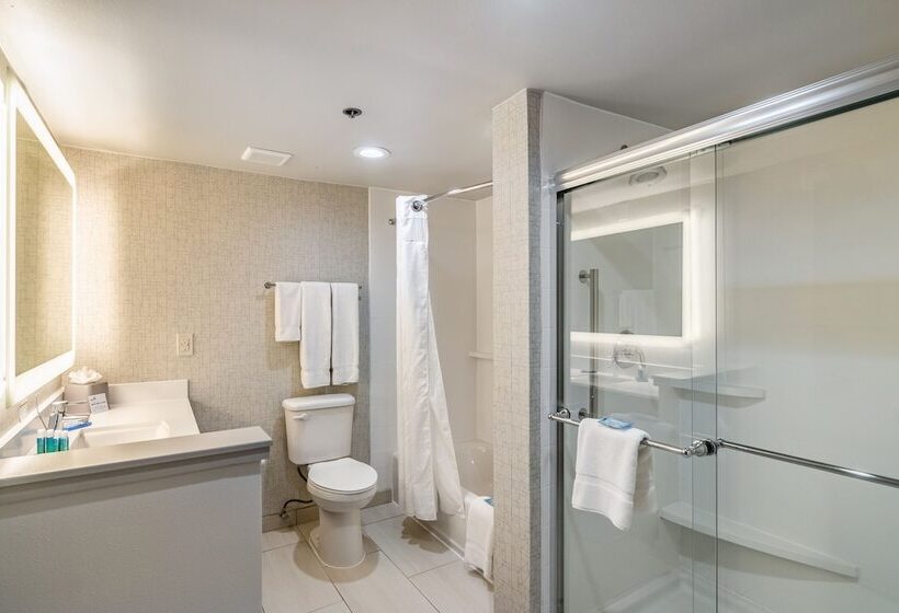 سوییت, Holiday Inn Express & Suites Camarillo, An Ihg