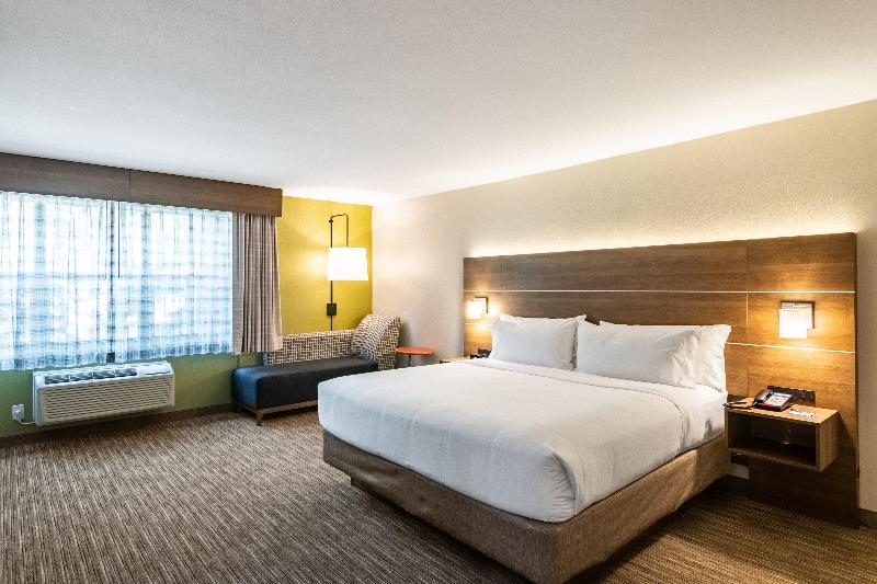 اتاق استاندارد با تخت بزرگ, Holiday Inn Express & Suites Camarillo, An Ihg