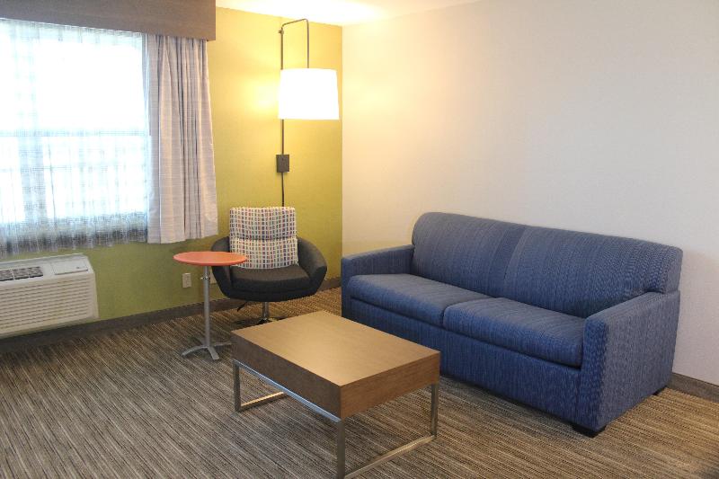 سوئیت با تخت بزرگ, Holiday Inn Express & Suites Camarillo, An Ihg