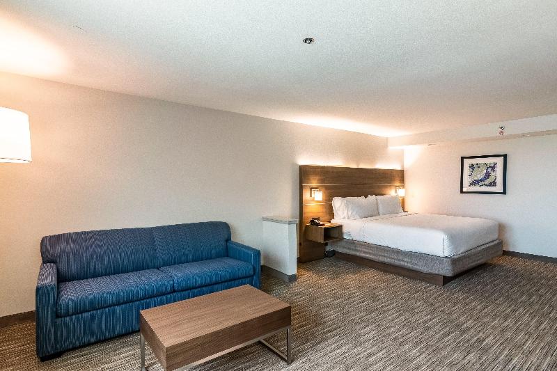 سوئیت با تخت بزرگ, Holiday Inn Express & Suites Camarillo, An Ihg