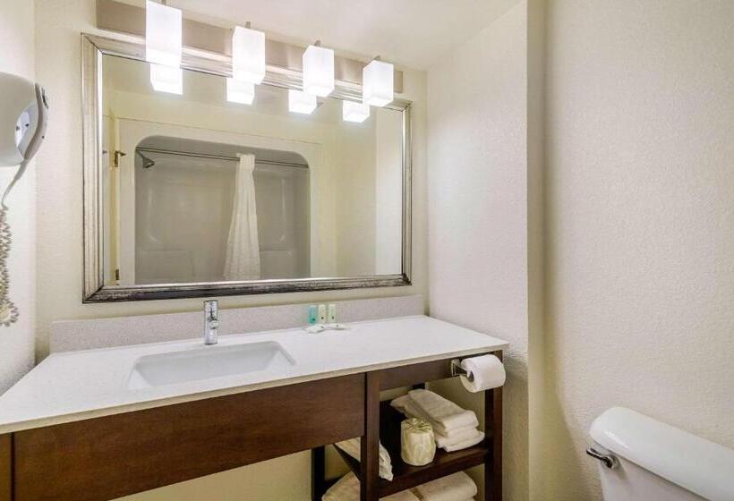 اتاق استاندارد با تخت بزرگ, Quality Inn & Suites Olde Town