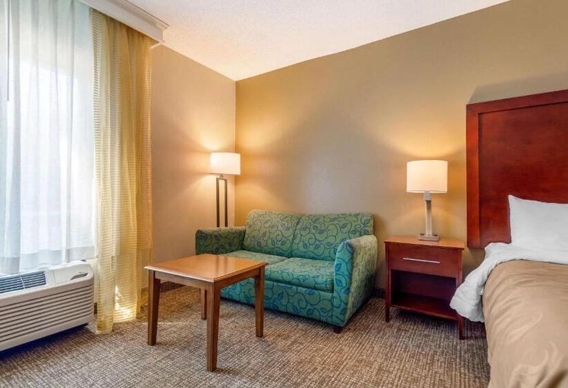 اتاق استاندارد با تخت بزرگ, Quality Inn & Suites Olde Town