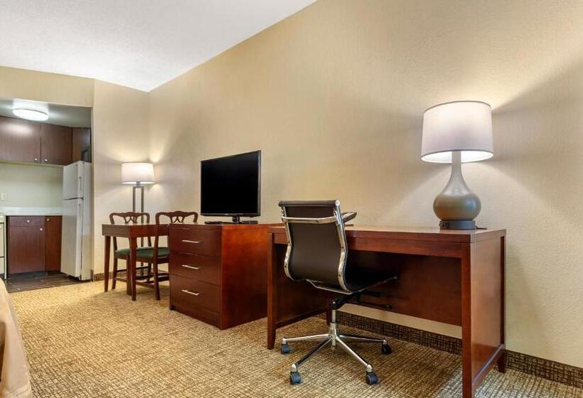 اتاق استاندارد با تخت بزرگ برای معلولان, Quality Inn & Suites Olde Town