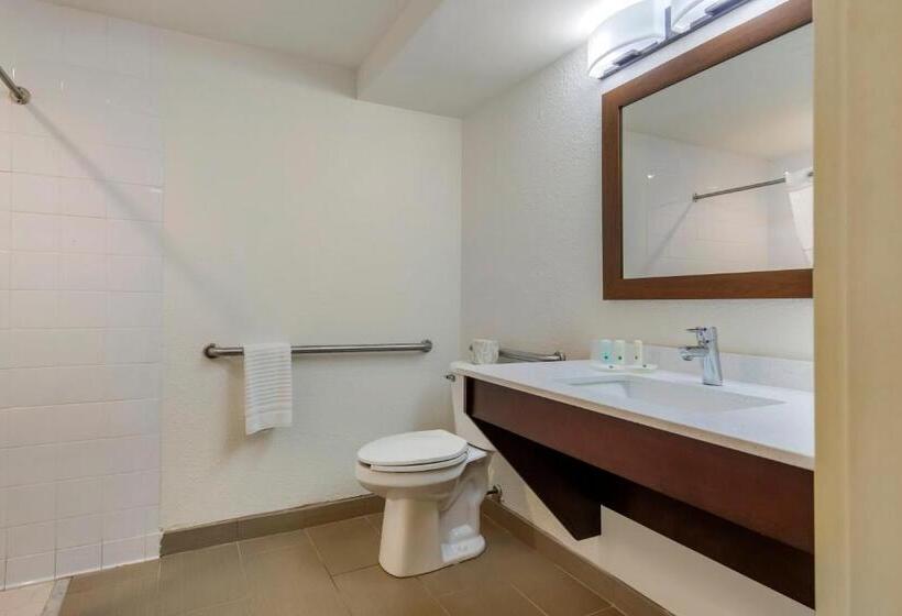 اتاق استاندارد با تخت بزرگ برای معلولان, Quality Inn & Suites Olde Town