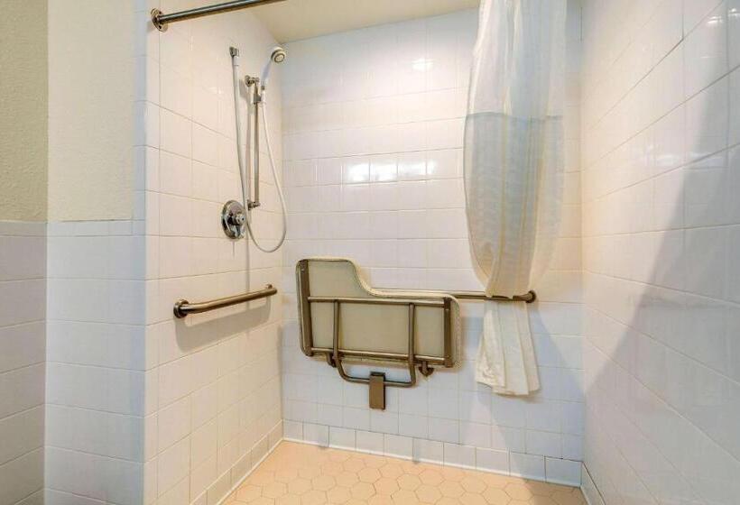 اتاق استاندارد با تخت بزرگ برای معلولان, Quality Inn & Suites Olde Town