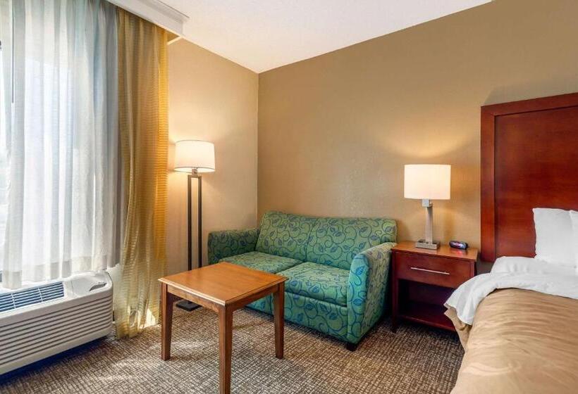 اتاق استاندارد با تخت بزرگ برای معلولان, Quality Inn & Suites Olde Town