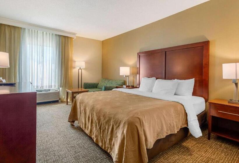 اتاق استاندارد با تخت بزرگ برای معلولان, Quality Inn & Suites Olde Town