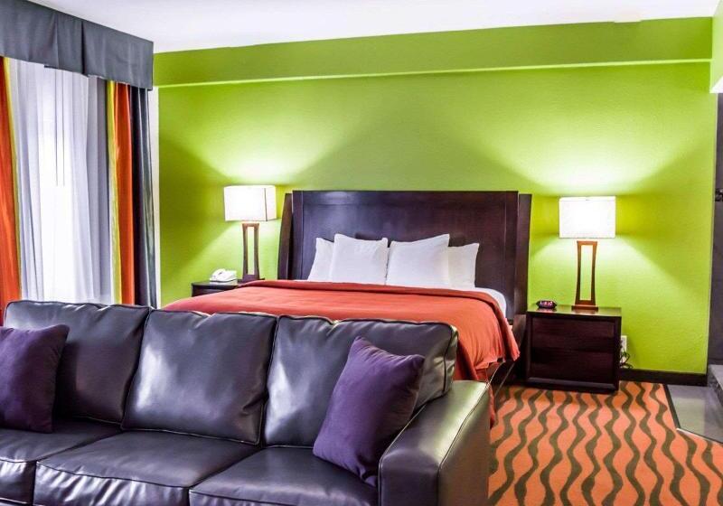 سوئیت با تخت بزرگ, Quality Suites Fort Myers Airport I 75