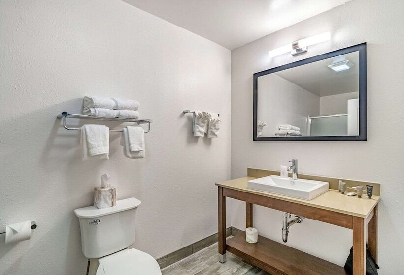 اتاق استاندارد با تخت دوبل برای معلولان, Riverview Inn & Suites, Ascend  Collection