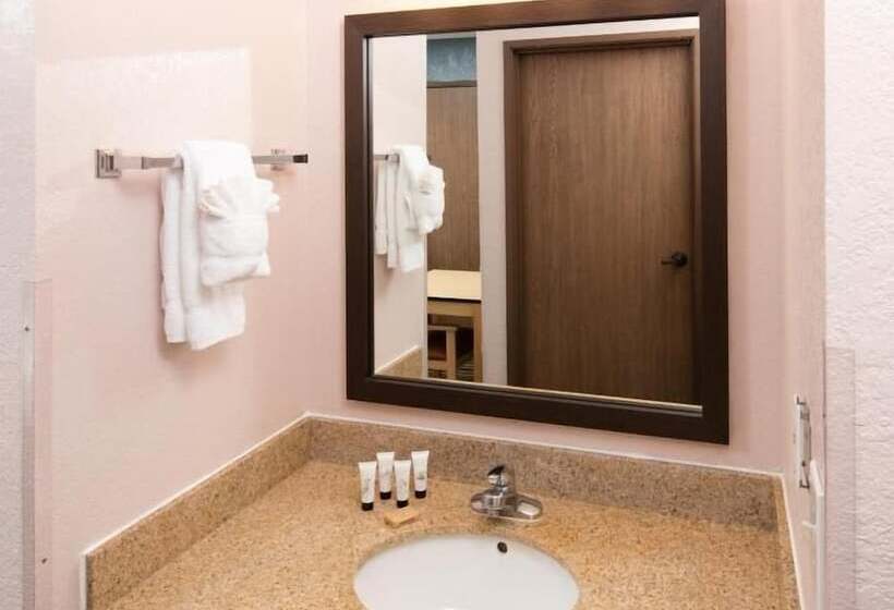 اتاق استاندارد, Sylo Hotel Denver Airport, A Ramada By Wyndham