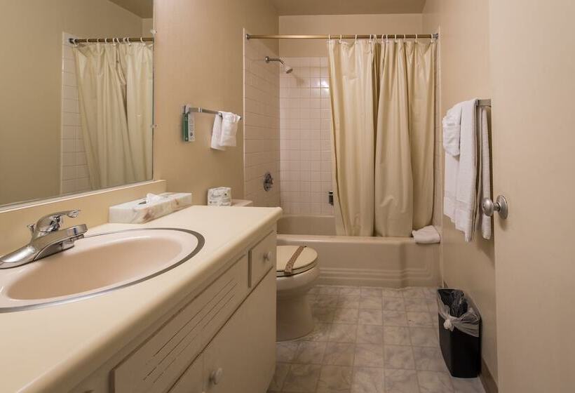 سوییت اجرایی, Coral Reef Inn & Condo Suites