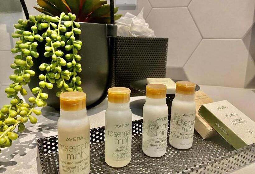 اتاق پرمیوم, Indigo Miami Brickell By Ihg