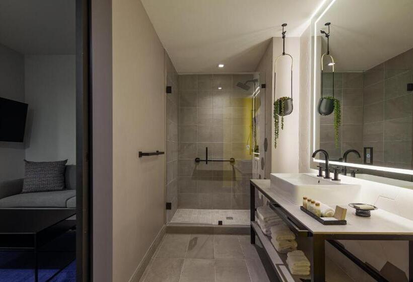 اتاق پرمیوم, Indigo Miami Brickell By Ihg