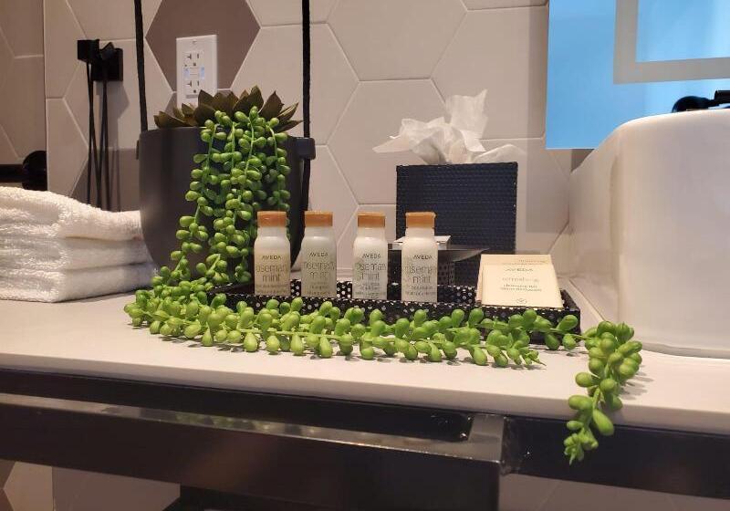 سوئیت برای معلولان, Indigo Miami Brickell By Ihg