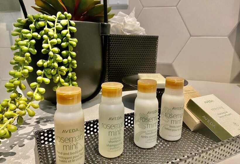 سوئیت برای معلولان, Indigo Miami Brickell By Ihg