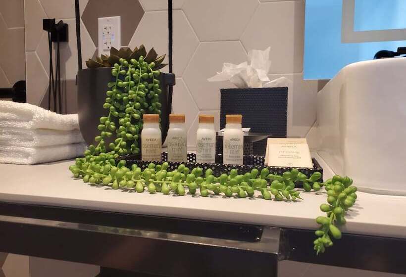 سوئیت برای معلولان, Indigo Miami Brickell By Ihg