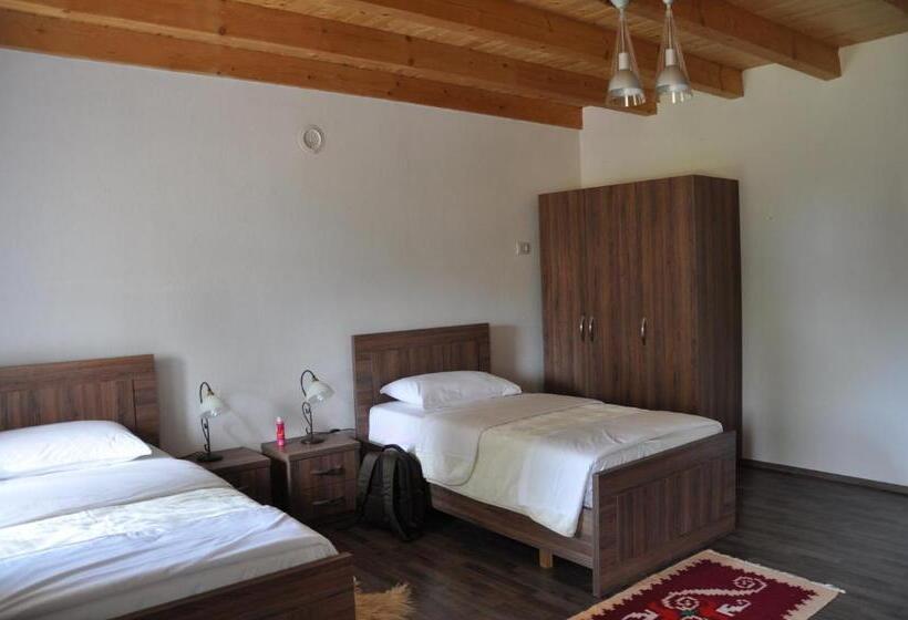 اتاق اکونومی, Bujtina Gjana