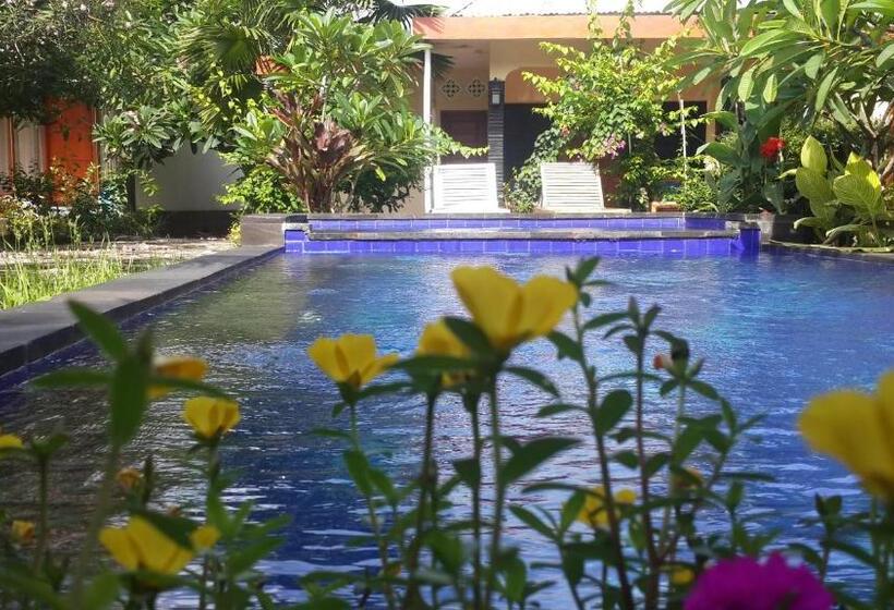 ویلای 2 خوابه, Villa Bluemoon