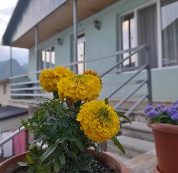 اتاق استاندارد, Kera Guest House
