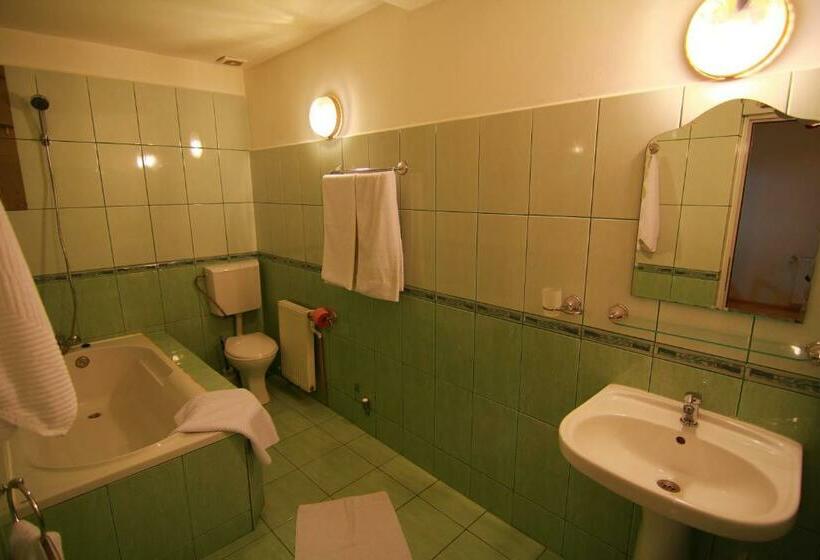 آپارتمان 1 خوابه, Pension Saphir
