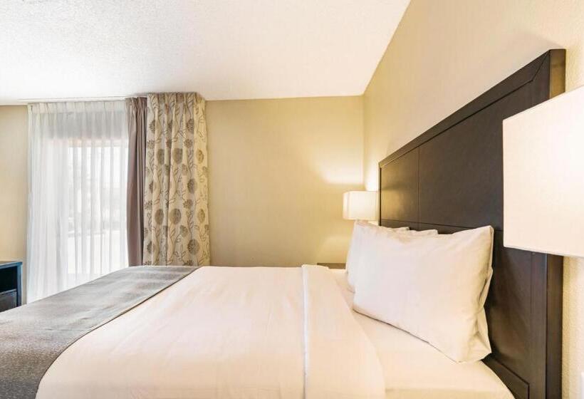 带2个卧室的套房, Chase Suite  El Paso