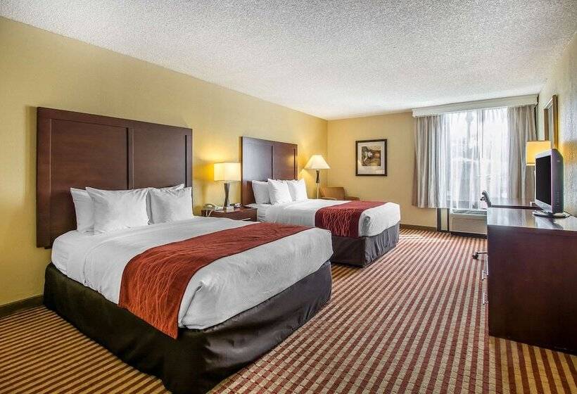 اتاق استاندارد برای معلولان, Comfort Inn & Suites Kissimmee By The Parks