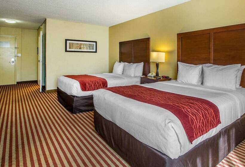 اتاق استاندارد برای معلولان, Comfort Inn & Suites Kissimmee By The Parks