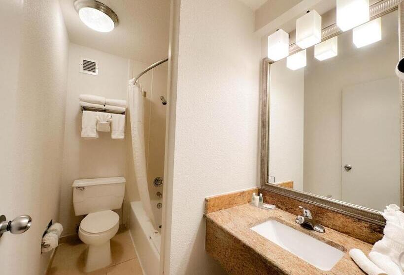 اتاق لوکس با تخت بزرگ, Comfort Inn & Suites Kissimmee By The Parks
