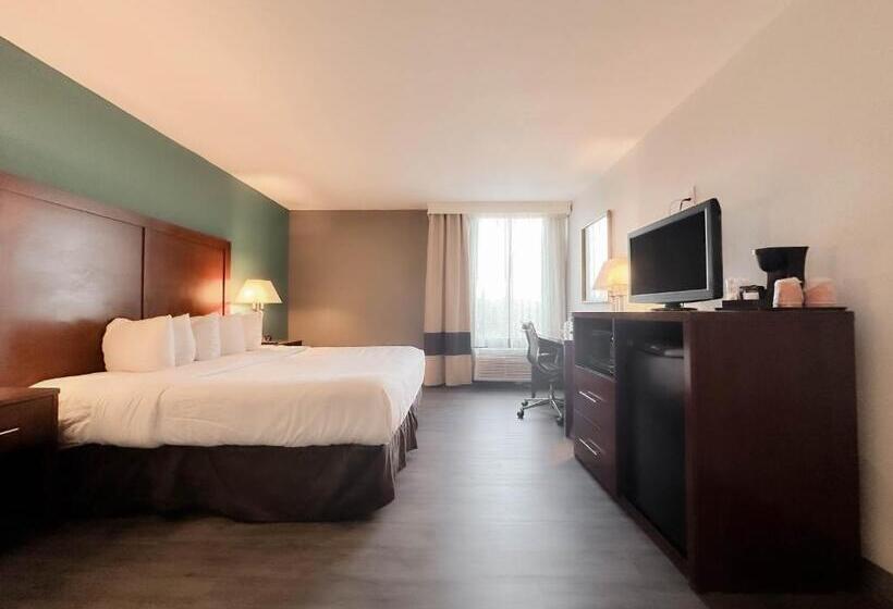 اتاق لوکس با تخت بزرگ, Comfort Inn & Suites Kissimmee By The Parks