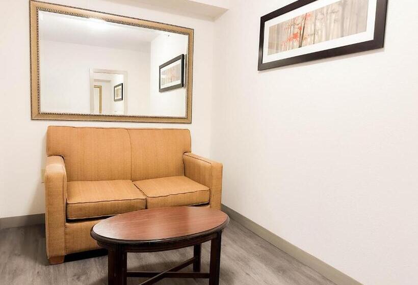 اتاق لوکس با تخت بزرگ, Comfort Inn & Suites Kissimmee By The Parks