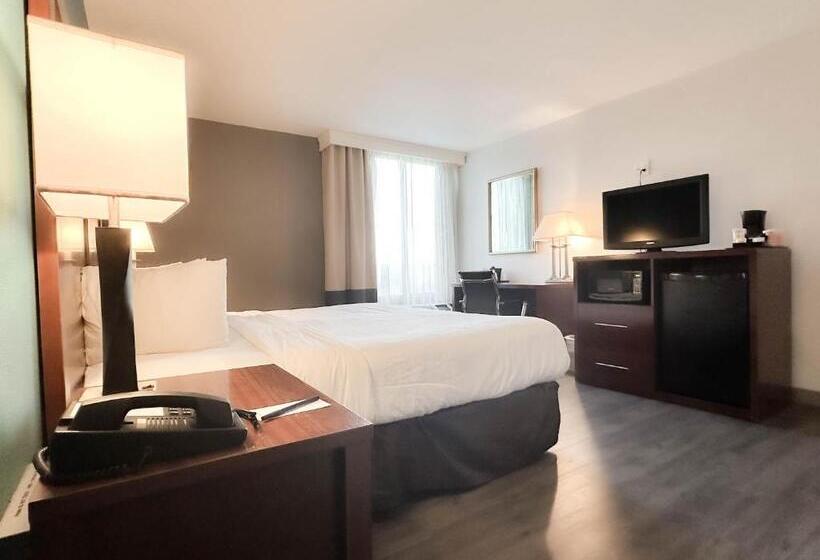 اتاق لوکس با تخت بزرگ, Comfort Inn & Suites Kissimmee By The Parks