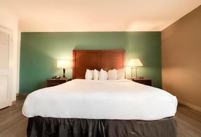 اتاق لوکس با تخت بزرگ, Comfort Inn & Suites Kissimmee By The Parks