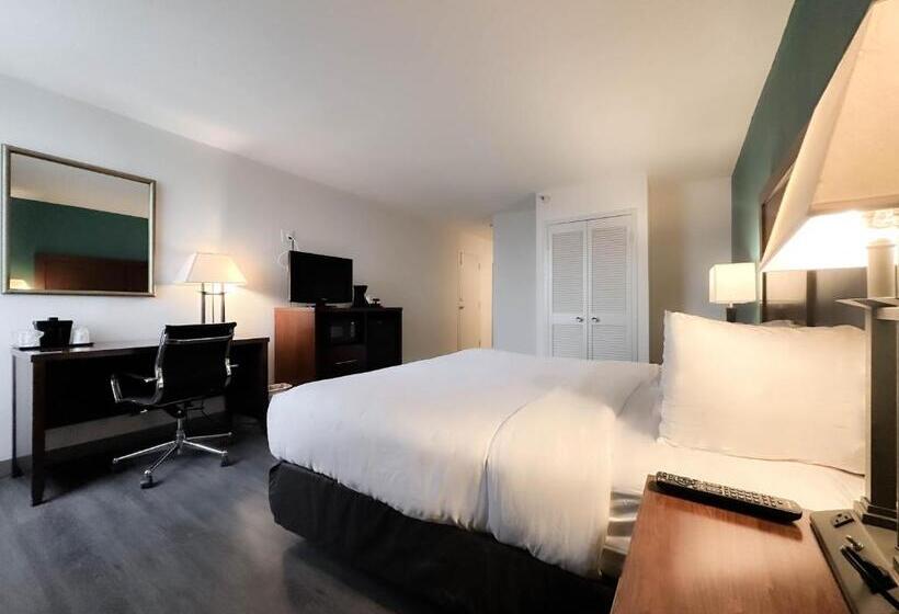 اتاق لوکس با تخت بزرگ, Comfort Inn & Suites Kissimmee By The Parks