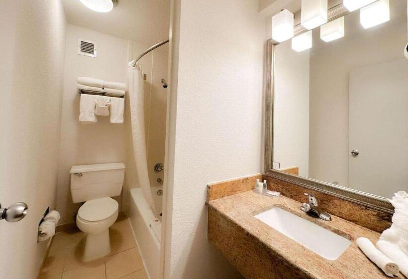 اتاق لوکس با تخت بزرگ, Comfort Inn & Suites Kissimmee By The Parks
