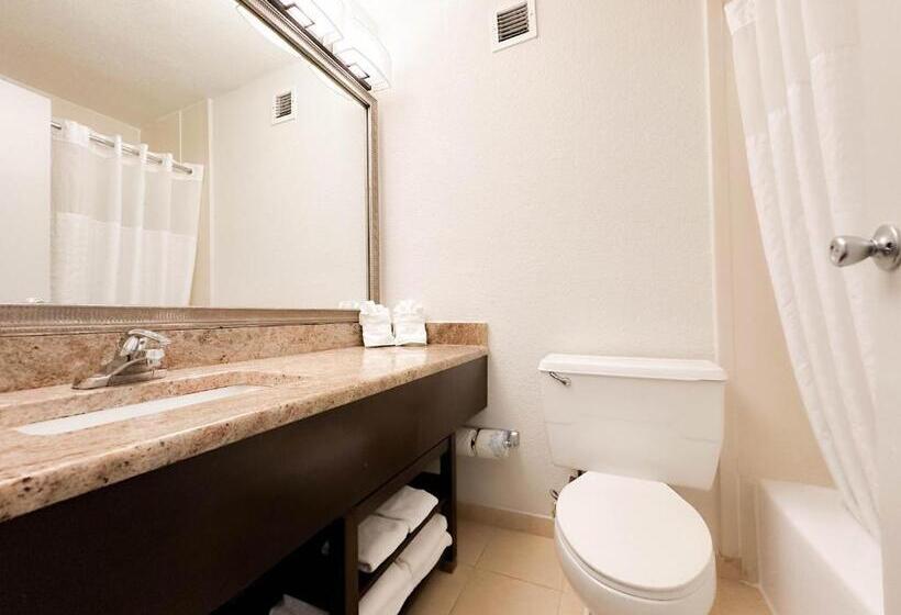 اتاق سوپریور با تخت بزرگ, Comfort Inn & Suites Kissimmee By The Parks
