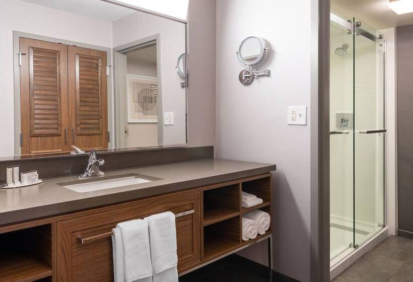 سوئیت با بالکن, Courtyard Austin South