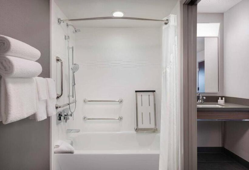 اتاق استاندارد با تخت بزرگ, Courtyard Austin South