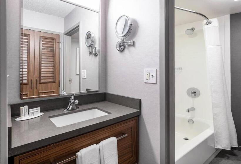 اتاق استاندارد برای معلولان, Courtyard Austin South