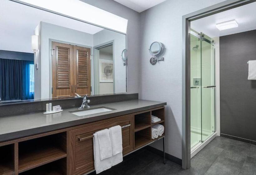 اتاق استاندارد برای معلولان, Courtyard Austin South